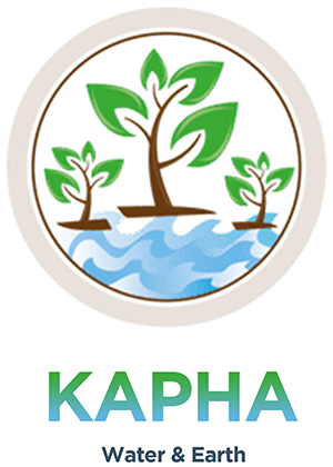 Symptoms of Imbalanced Kapha Dosha in Ayurveda