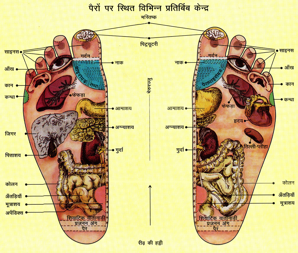 Reflexology Chart