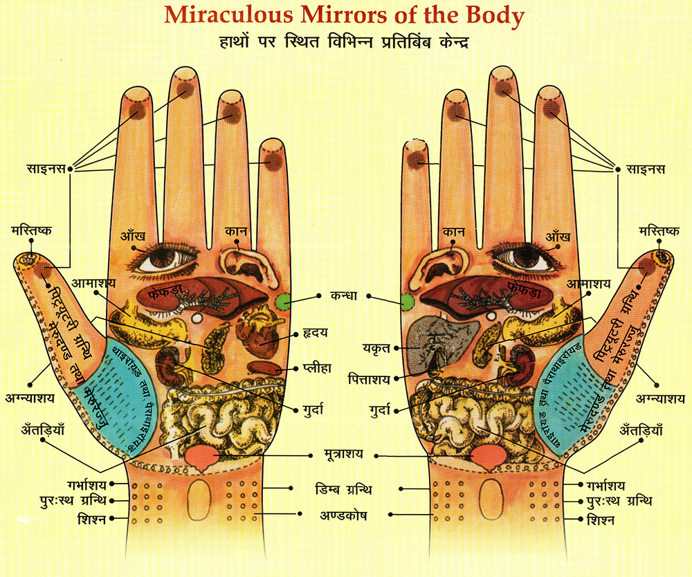 Reflexology Chart